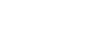 LION Marketing Group